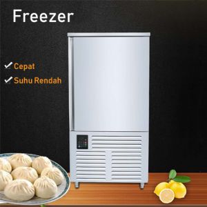ZM-E10 Freezer